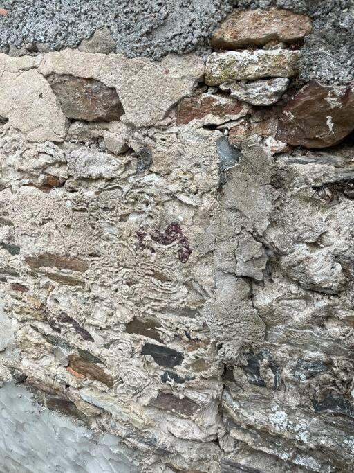 Maisonnette De Pecheur L'Aubraie Εξωτερικό φωτογραφία